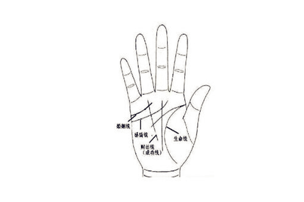 容易吃亏的手相