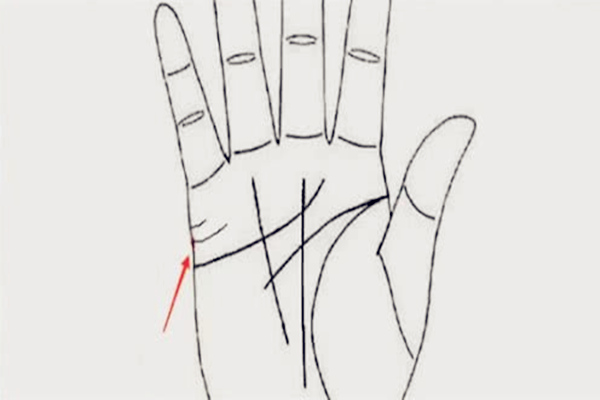 命运线和太阳线相交代表什么