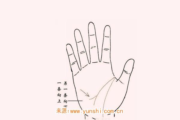 有两条智慧线好吗