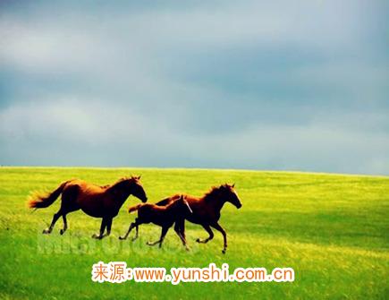 属马2020年会遇到哪些灾难