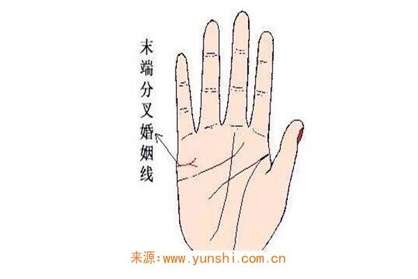 婚姻线分叉会离婚吗