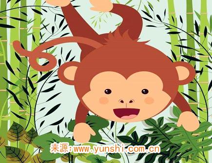 属猴最吸引人的地方 属猴最吸引人的地方