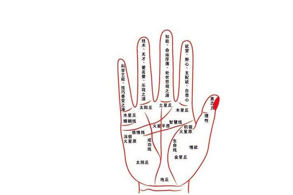 手相婚姻线看离婚吗