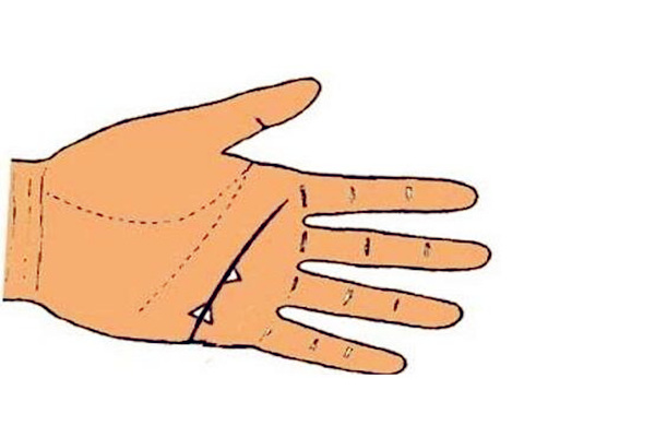 手相婚姻线尾部分叉代表什么