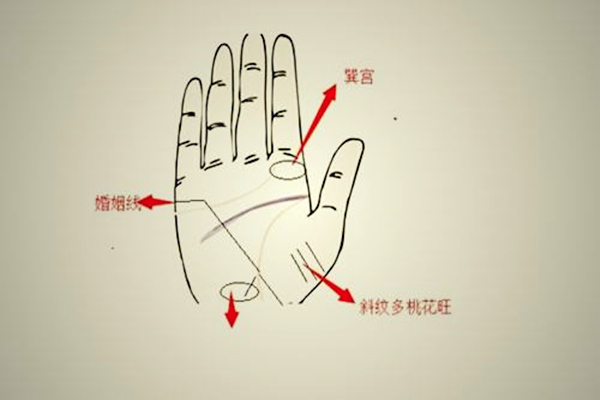 手相桃花如何看