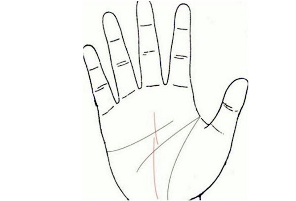 事业挫折多但终能有成的手相