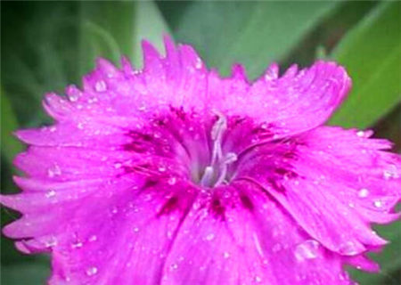 八字断相貌口诀 八字断相貌口诀