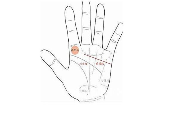 情场高手的男人手相