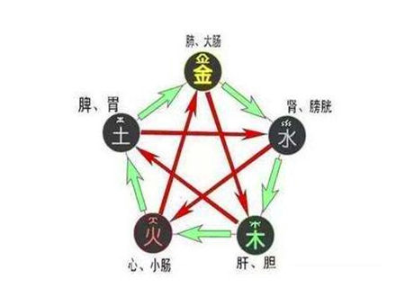 五行代表的身体部位