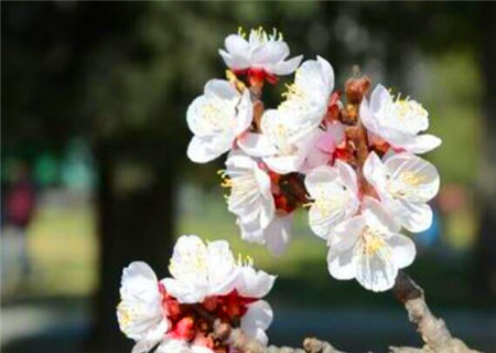 比较花心的男命八字