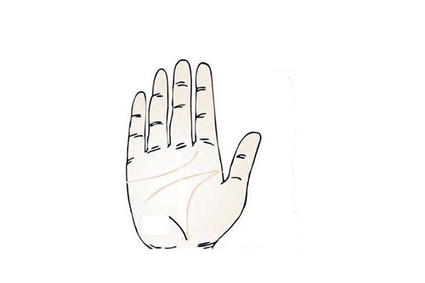 女富豪手相特征