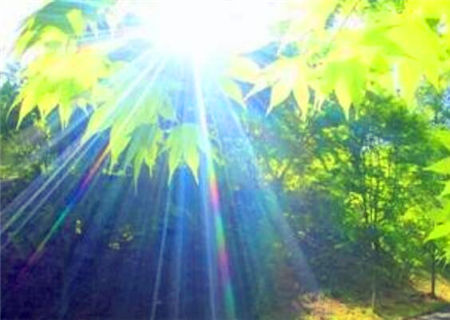 丁火生于午月的命理解析