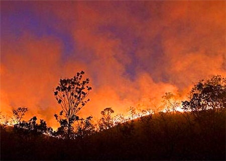 丁火生于戌月的命理解析