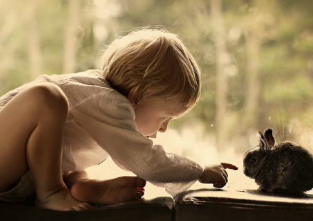 鲁姓男孩名字大全 鲁姓男孩名字大全