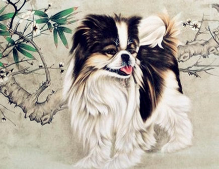 属狗人出生日的命运