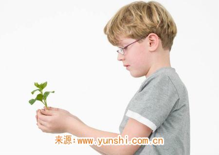 凤姓男孩名字大全