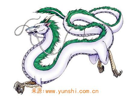 属龙的缺点有哪些 属龙的缺点有哪些