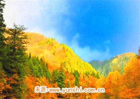 丙火生于亥月命理解析