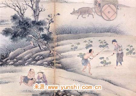 什么是八字稼穑格 什么是八字稼穑格