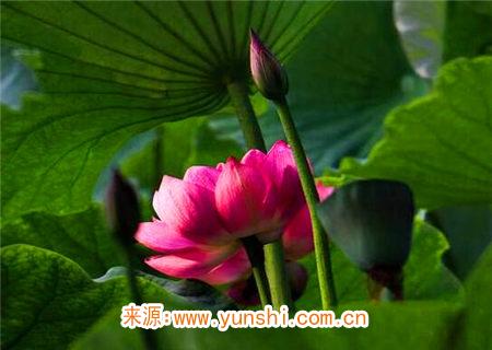 论格局用神歌诀 论格局用神歌诀