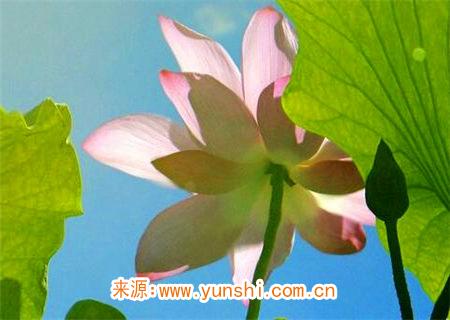 庚金生于未月命理解析