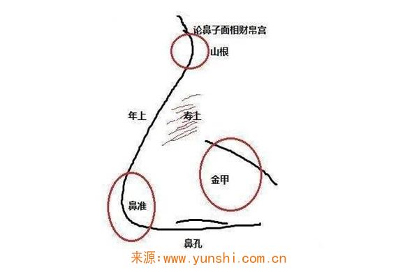 面相财帛宫看命运