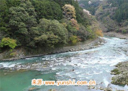 壬水生于巳月命理分析