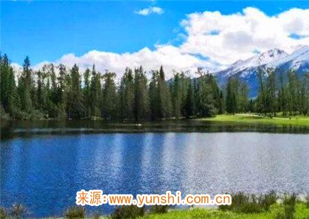 壬水生于未月命理分析