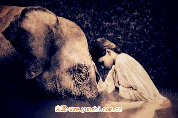 心地善良软弱的人长什么样