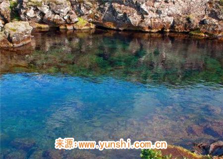 壬水生于酉月命理分析