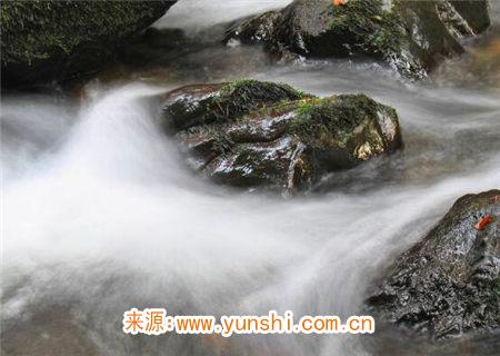 壬水生于亥月命理分析