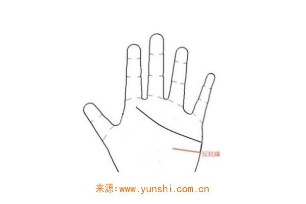 什么是手相反抗线