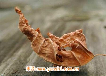 八字铁口直断疾病 八字铁口直断疾病