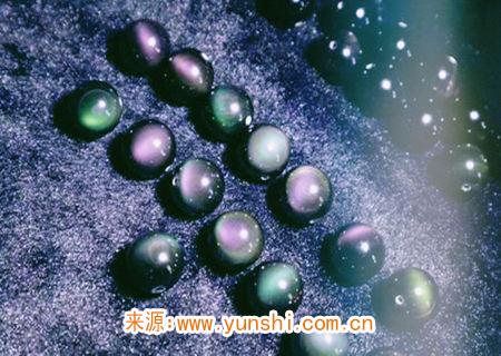 男人佩戴什么旺财运 男人佩戴什么旺财运