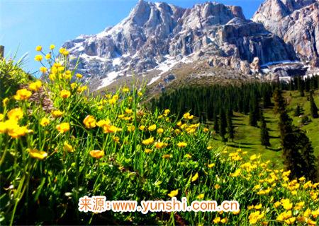 辛金生于戌月命理分析