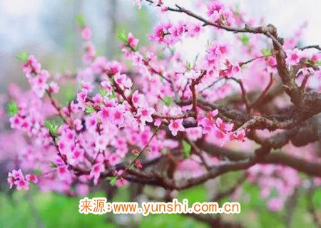 男人佩戴什么旺桃花