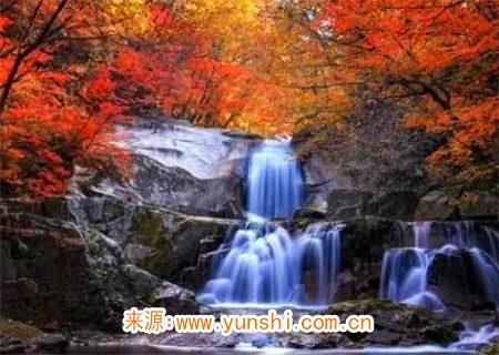 女命从财格好不好 女命从财格好不好