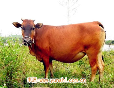 2021年十一月出生人的命运