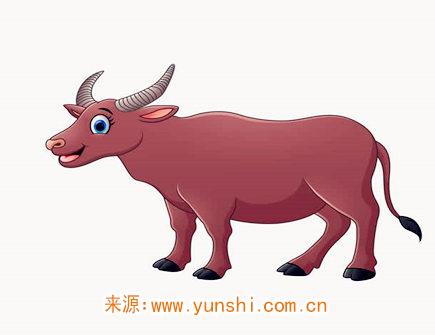 2021年十二月出生人的命运