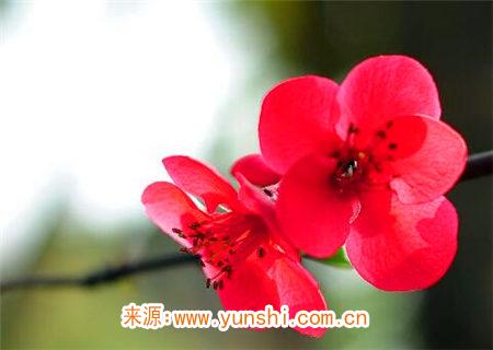 风流多情的男命八字 风流多情的男命八字