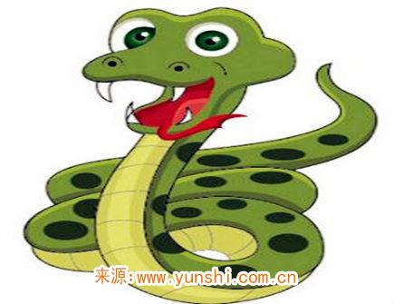 属蛇人哪年开始转运 属蛇人哪年开始转运