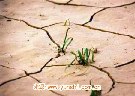 六亲无靠的八字特点