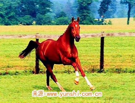 属马人灾难年龄 属马人灾难年龄