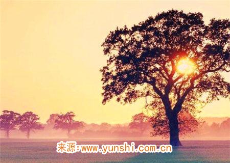 八字喜用神为土的人特征 八字喜用神为土的人特征