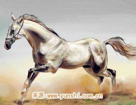 属马人一生有几次婚姻 属马人一生有几次婚姻