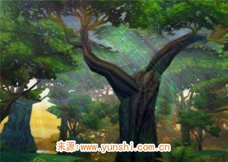 八字喜用神为木的人特点 八字喜用神为木的人特点