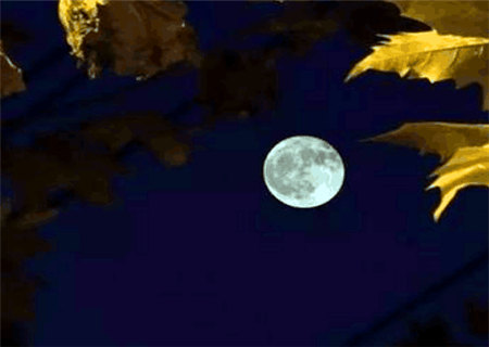 抠门小气的八字特征 抠门小气的八字特征