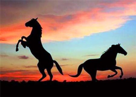 八字纳音巧用 八字纳音巧用