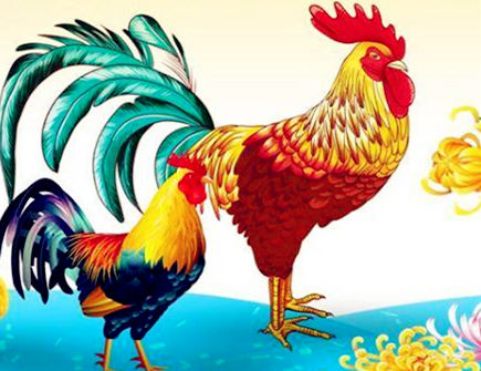 哪个月份的属鸡人命最好