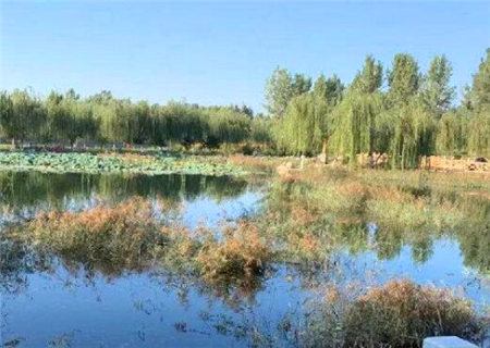 八字铁饭碗 八字铁饭碗